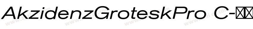 AkzidenzGroteskPro C字体转换